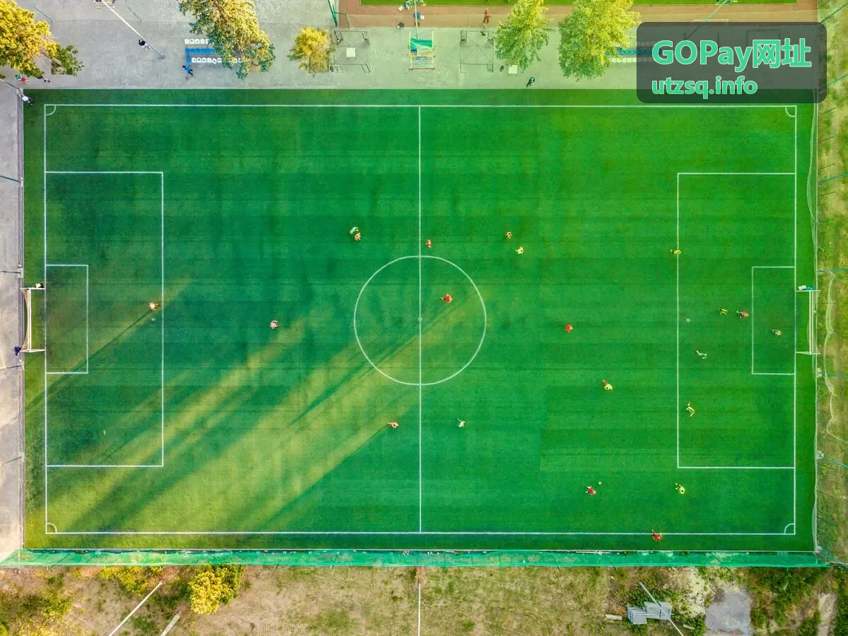 GOPay网址 会员储值卡账单管理